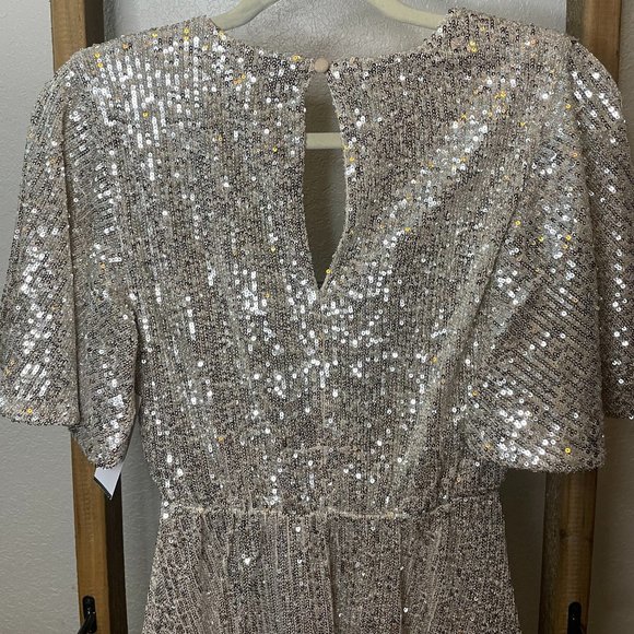 Silver Sequin Mini Dress - Picture 9 of 16